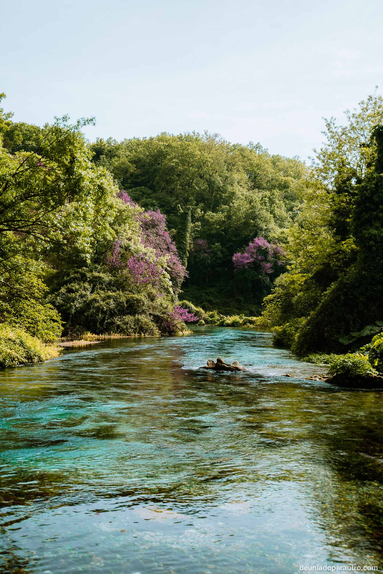 Blue Eye (Syri i Kaltër), el mejor paisaje natural que ver en Gjirokaster