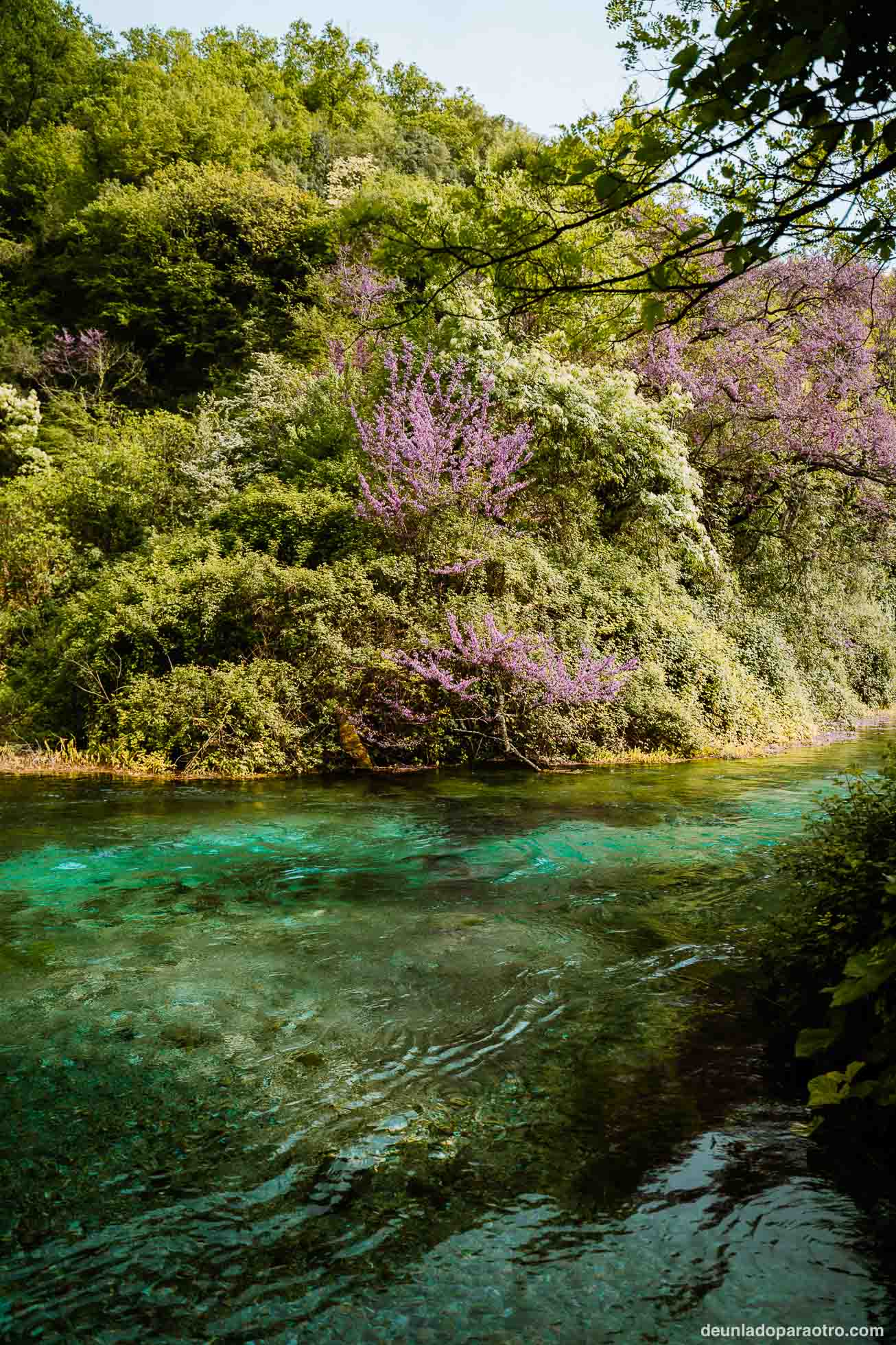 Blue Eye (Syri i Kaltër), el mejor paisaje natural que ver en Gjirokaster