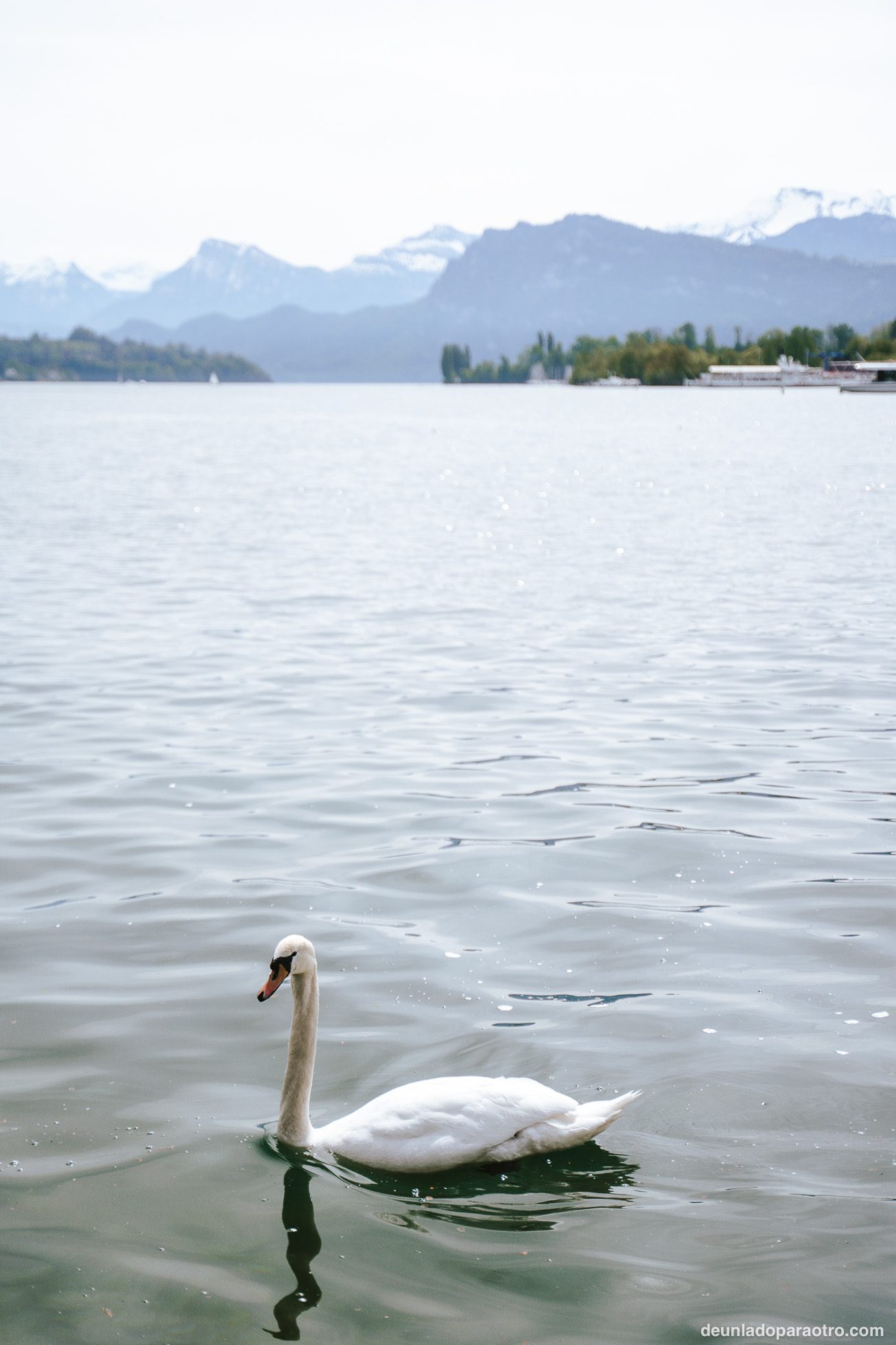Lago de los Cuatro Cantones, el paisaje más pintoresco que ver en Lucerna y alrededores