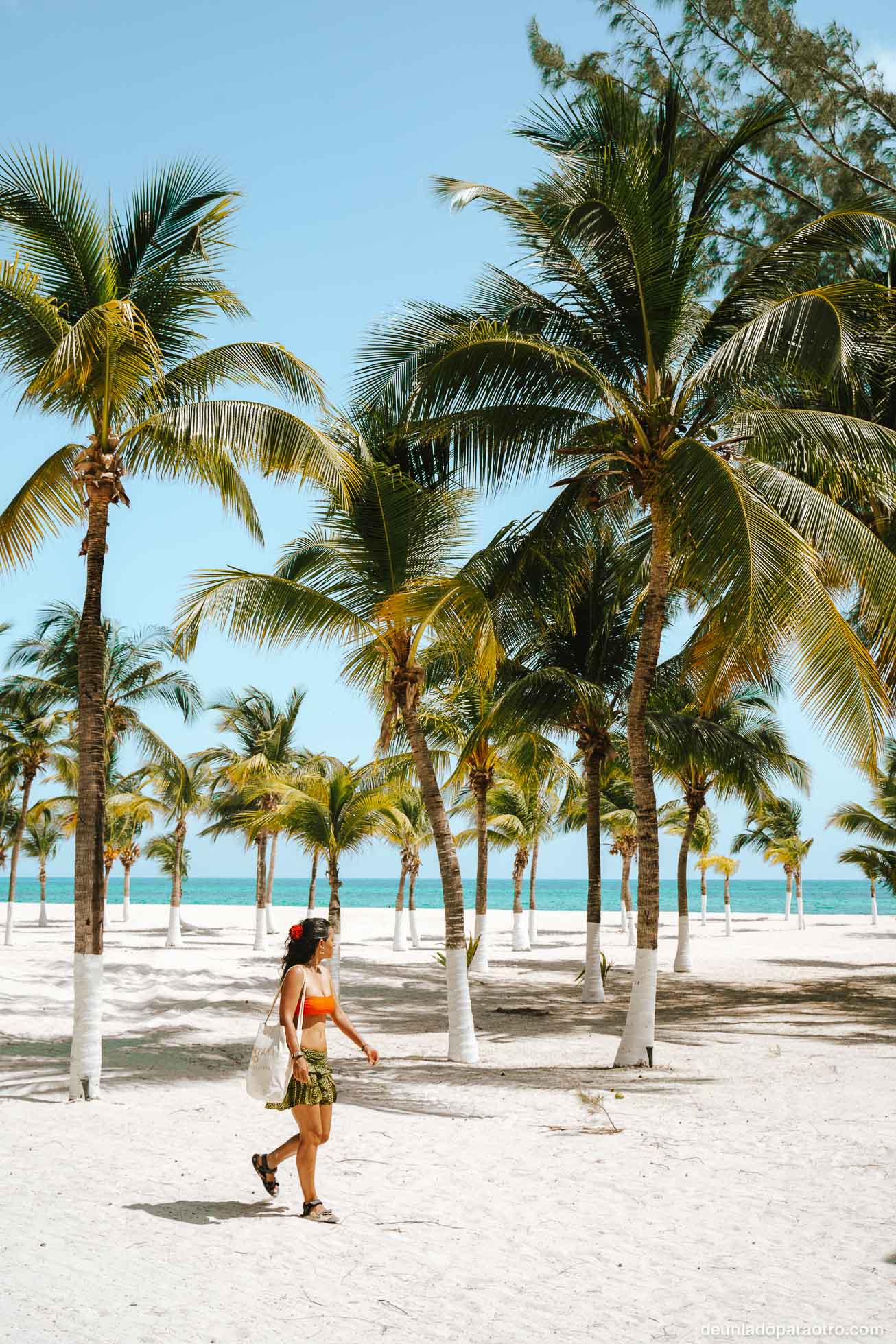 Hacer una excursión a alguna de las caribeñas islas vecinas, Cozumel e Isla Mujeres.