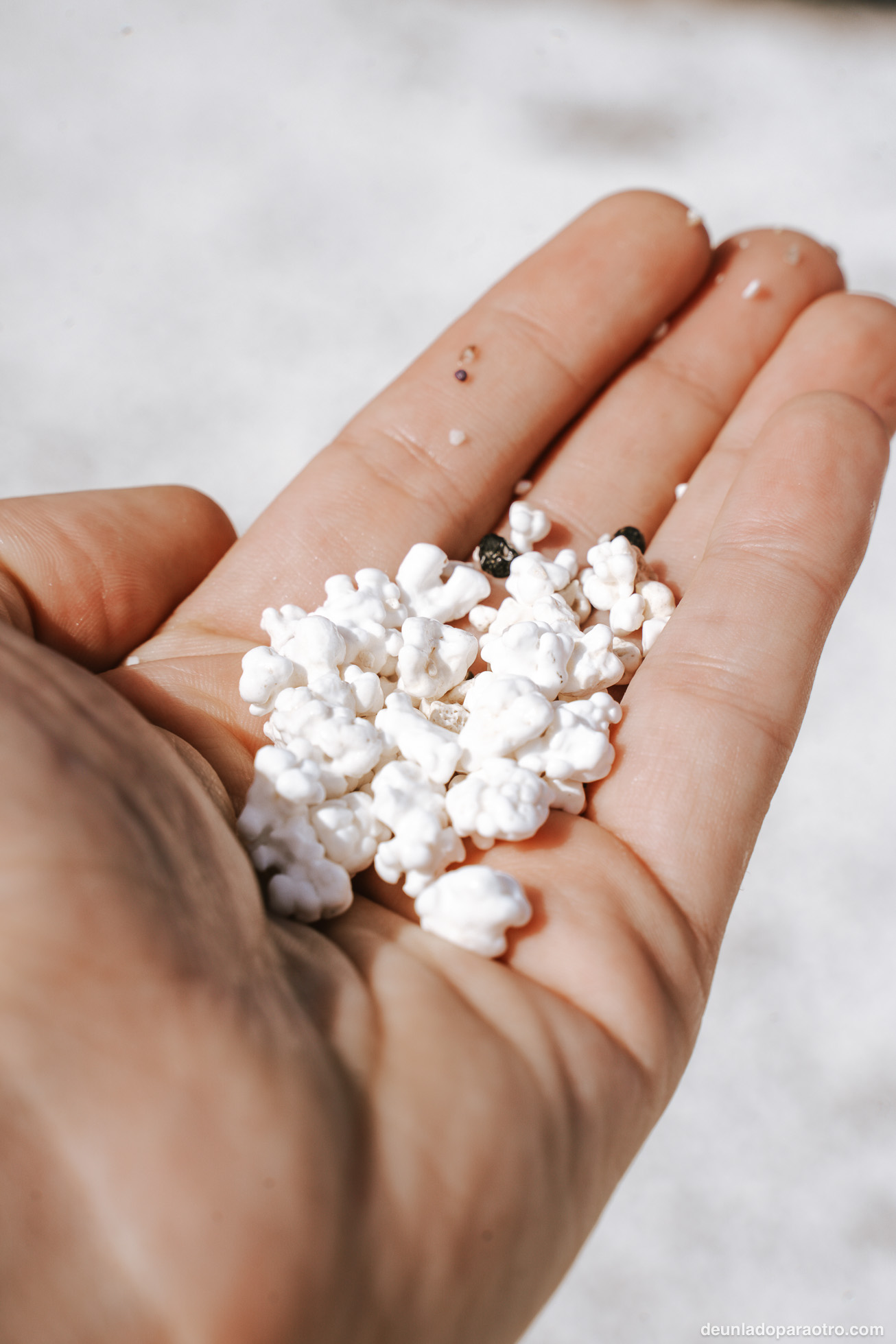 Alucinar con Popcorn Beach (Playa el Mejillón), la playa más singular que ver durante tu ruta por Fuerteventura en 3 días