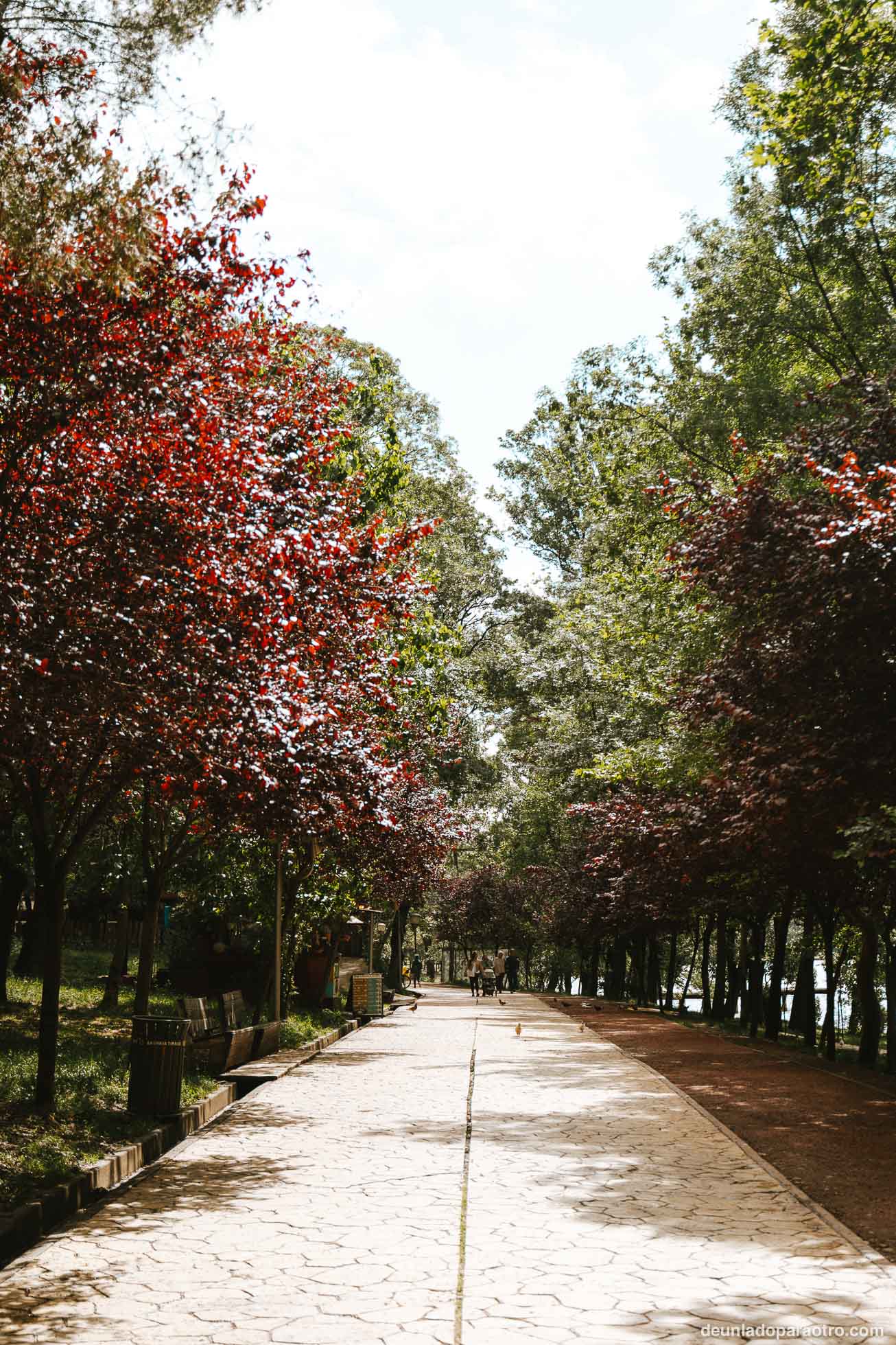 Gran Parque de Tirana y su lago artificial, una zona agradable donde relajarte en Tirana