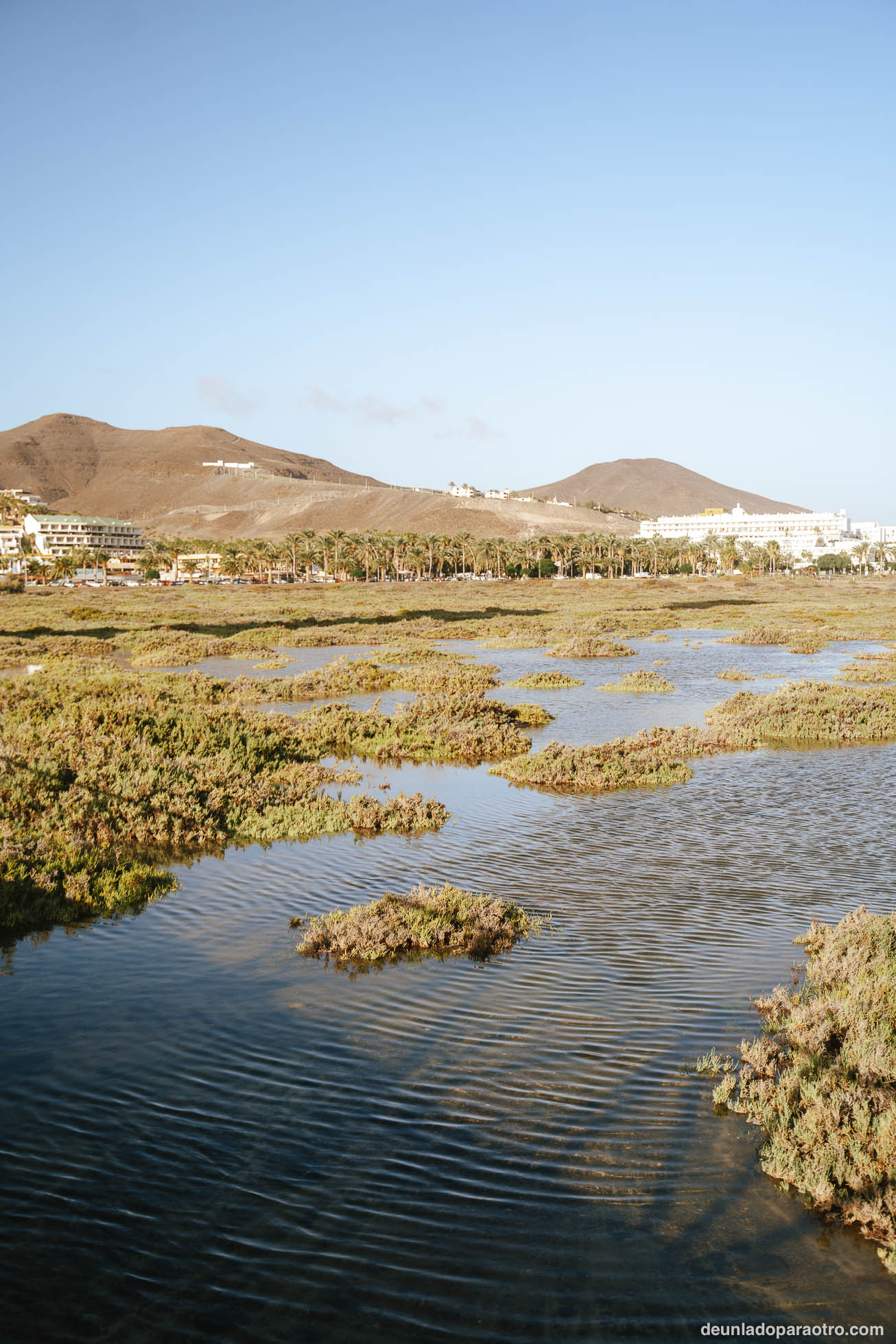 Visitar el pueblo de Morro Jable, un lugar agradable y animado que ver en en tu ruta por Fuerteventura en 3 días