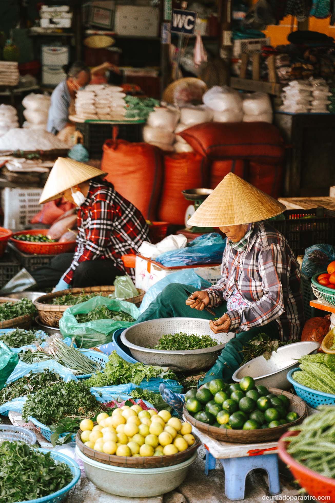 Mercado de Hoi An, algo unico que ver en Hoi An en 2 dias