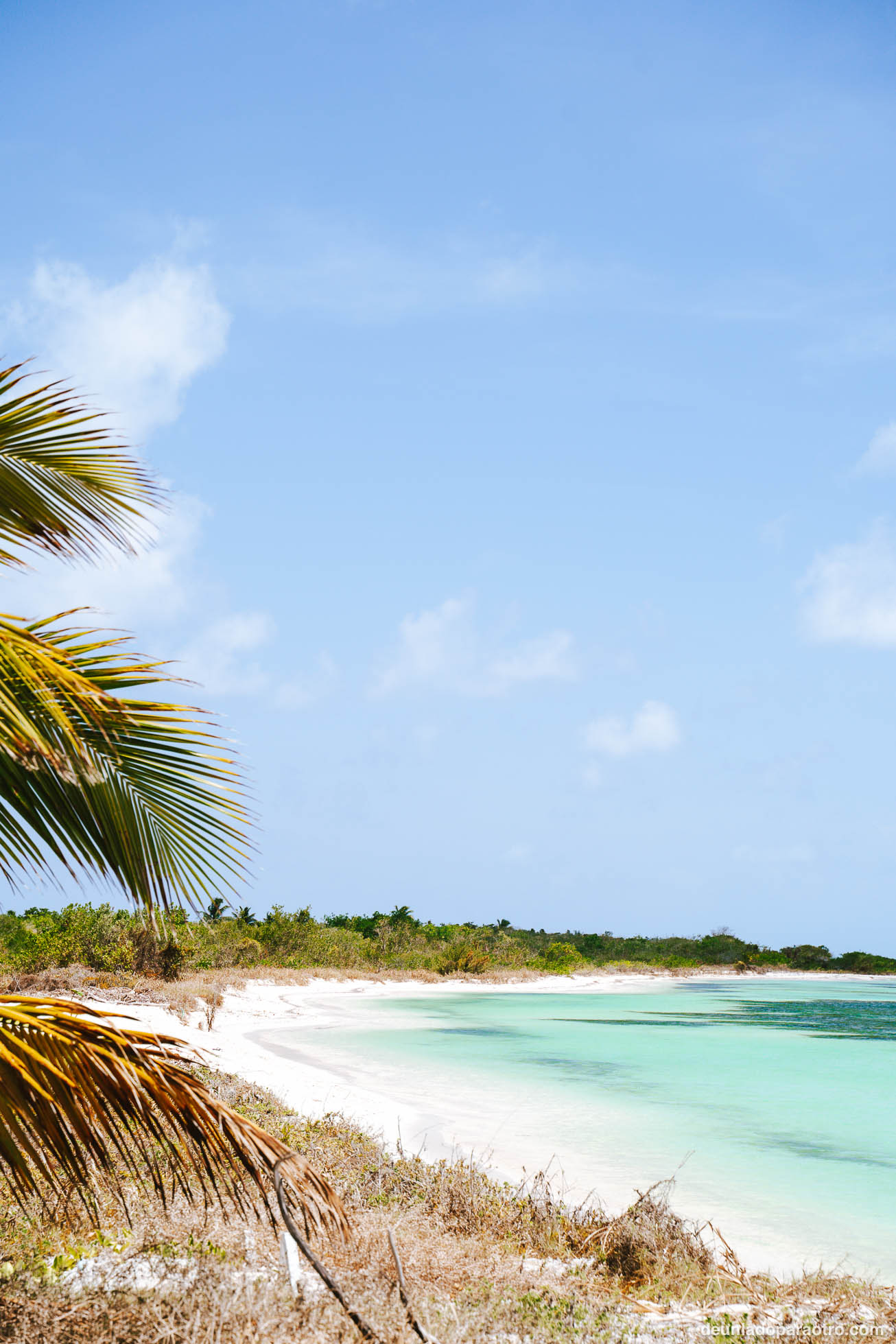 Relajarte en las playas, una de las mejores cosas que hacer en Cozumel