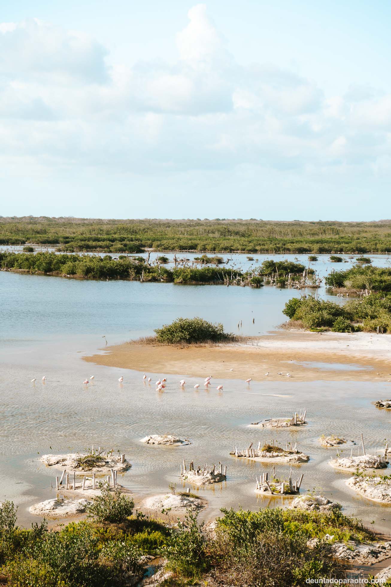 Visitar el Parque Ecológico de Punta Sur, un lugar especial que ver en Cozumel