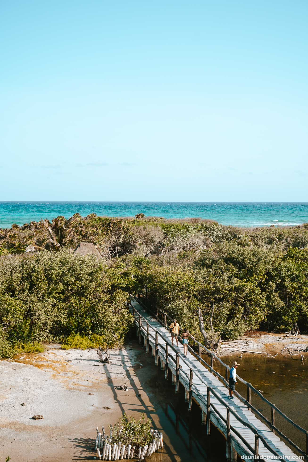 Visitar el Parque Ecológico de Punta Sur, un lugar especial que ver en Cozumel