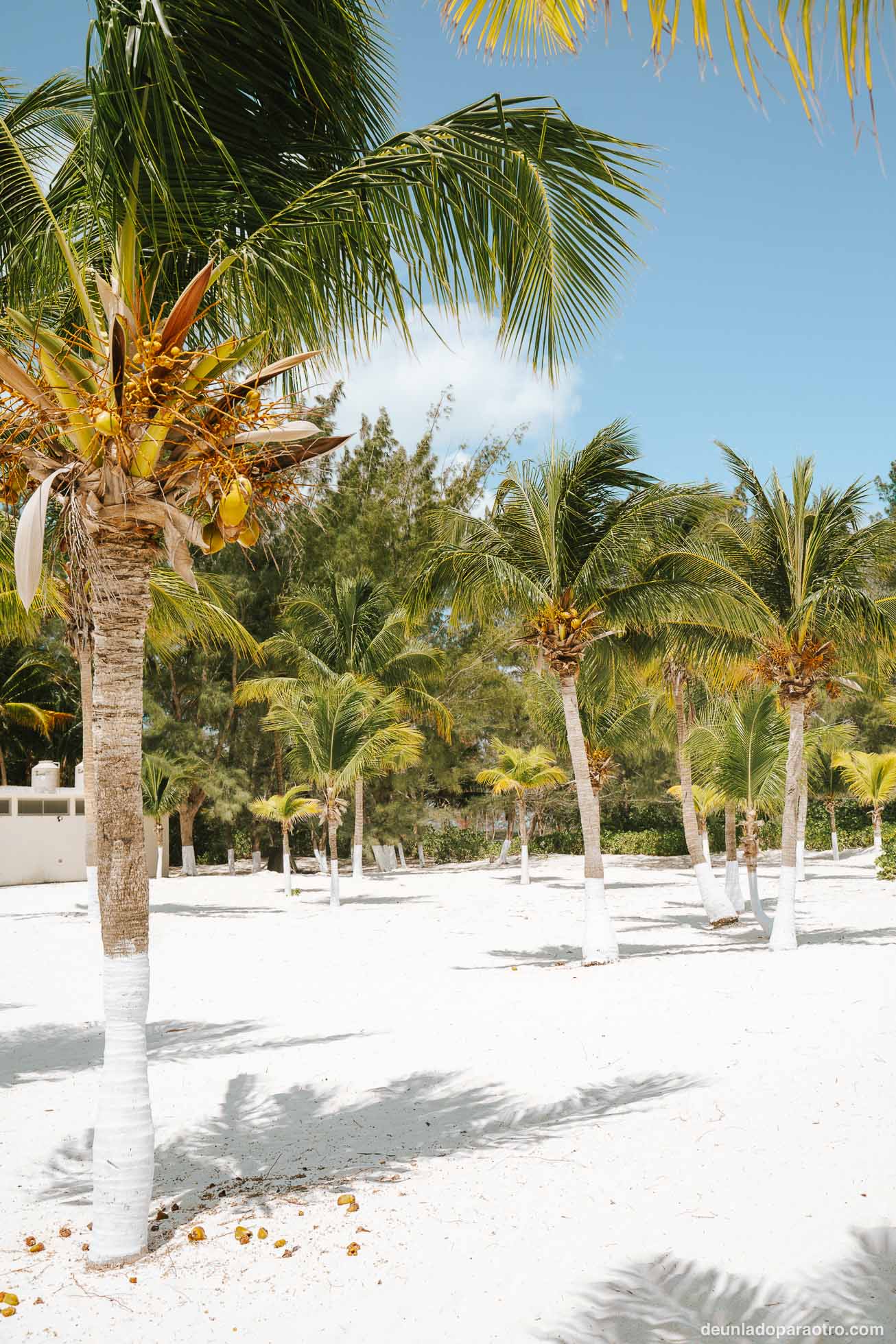 Relajarte en las playas, una de las mejores cosas que hacer en Cozumel