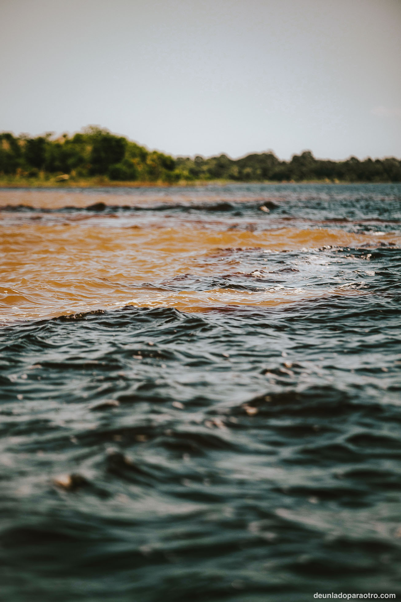 Navegar por el Río Negro y ver el Encuentro de las Aguas, la mejor excursión que hacer en Manaos