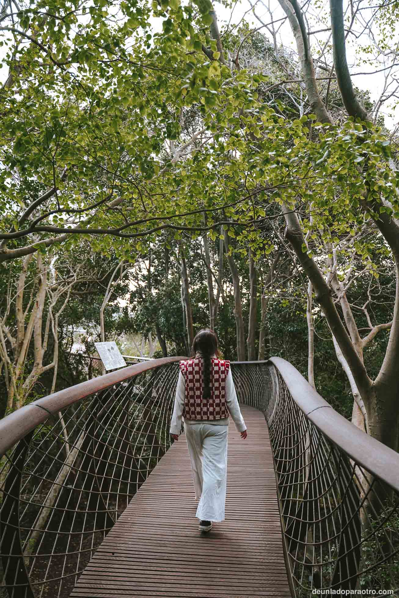 Jardín Botánico de Kirstenbosch, un lugar repleto de naturaleza que ver en Ciudad del Cabo