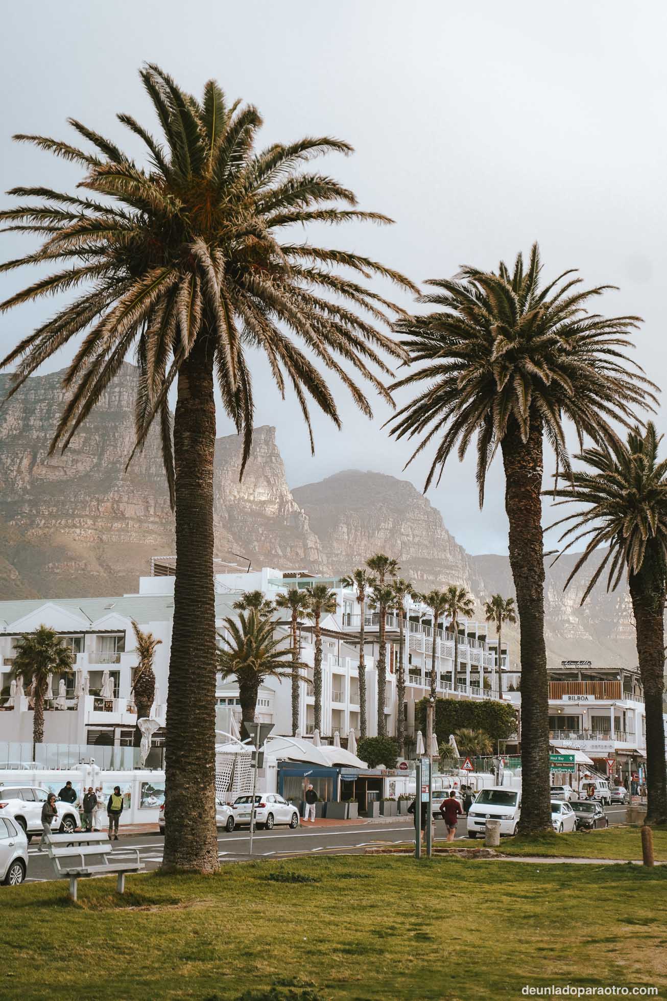 Camps Bay, el barrio más elegante que ver en Ciudad del Cabo