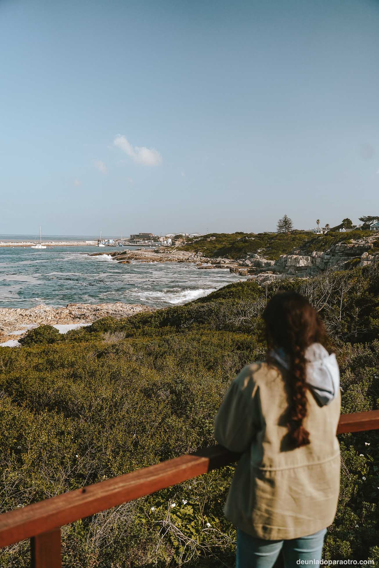 Hermanus, algo que hacer en tu ruta por Sudafrica