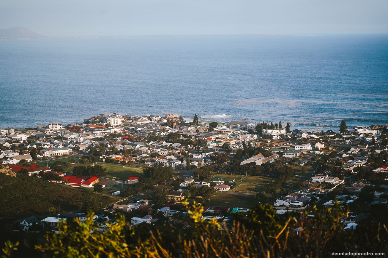 Que hacer en Hermanus