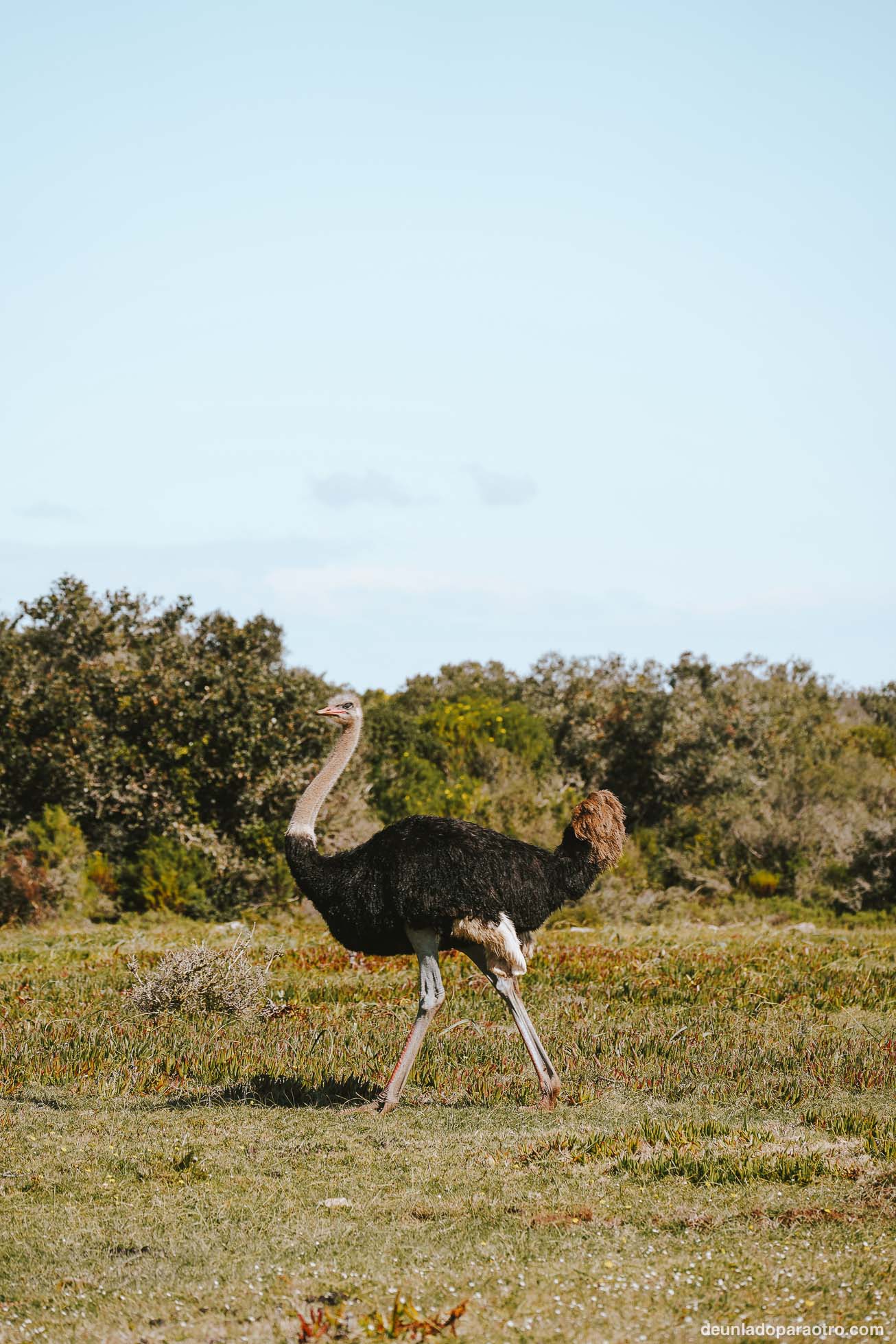 Cabo Agujas, algo imprescindible que ver en tu ruta de viaje por Sudafrica