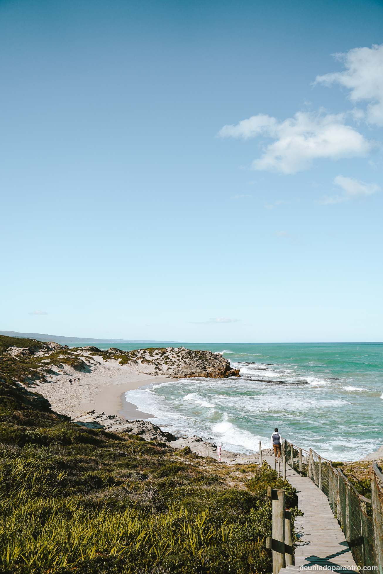 Reserva Natural De Hoop, algo imprescindible que ver en tu ruta de viaje por Sudafrica