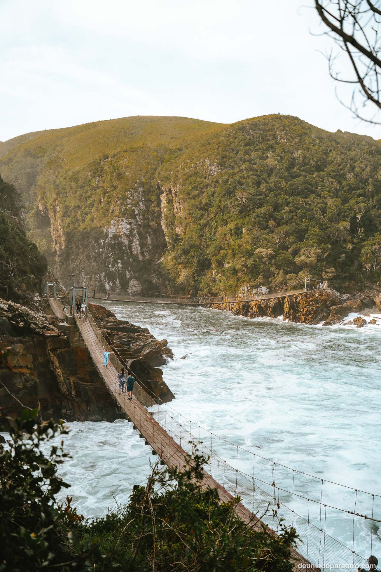 Puentes de Tstitsikamma, uno de los lugares más bonitos de la ruta por Sudafrica