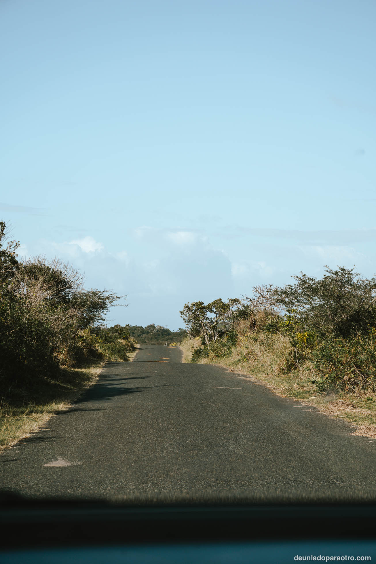 Isimangaliso, el mejor lugar para ver hipopótamos en tu ruta de viaje por Sudafrica