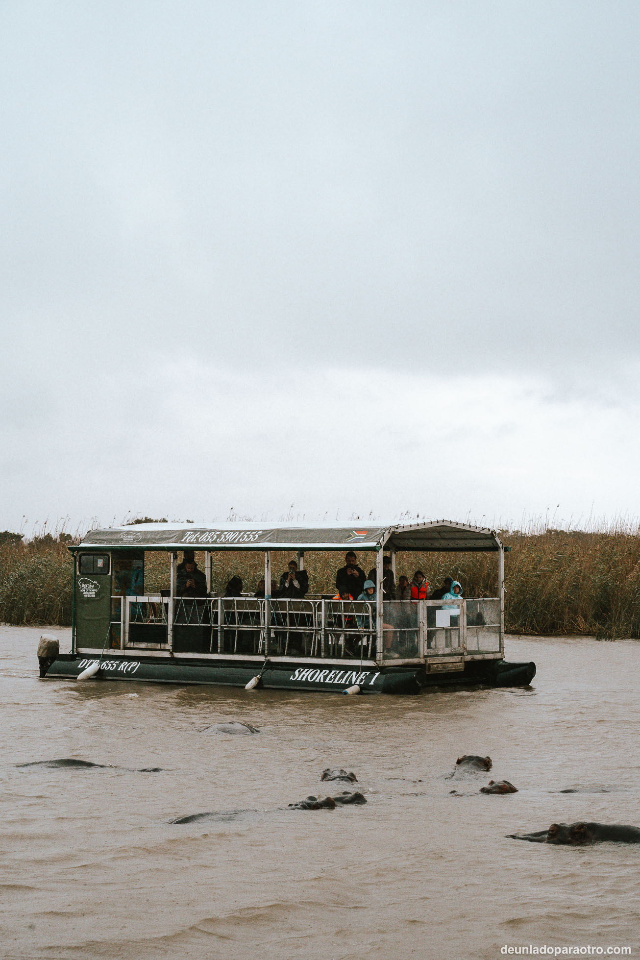 Isimangaliso, el mejor lugar para ver hipopótamos en tu ruta de viaje por Sudafrica