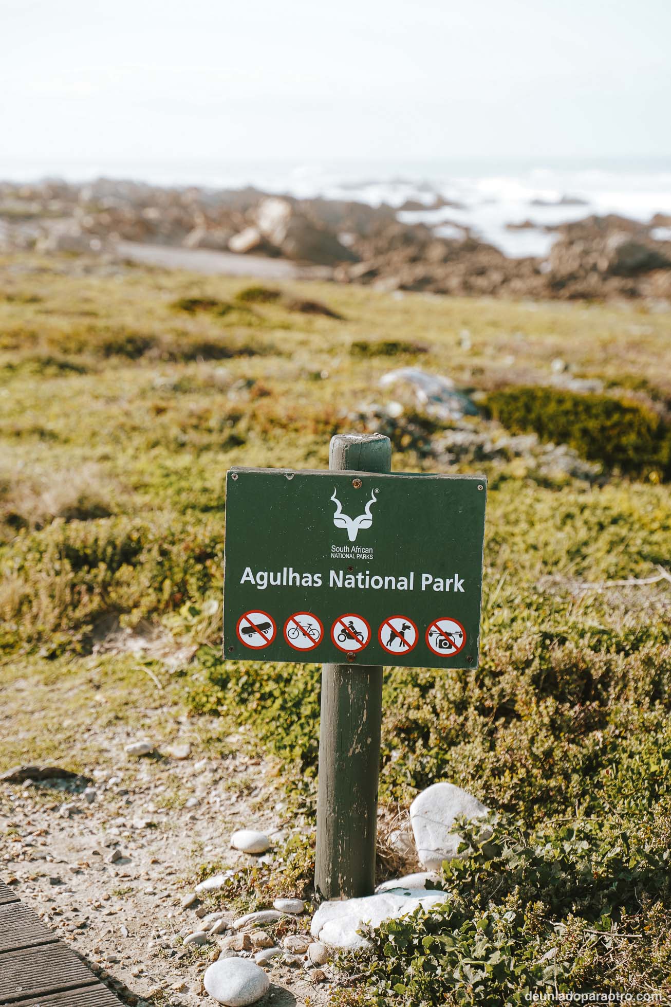 Cabo Agujas, el punto más al sur de África y una de las mejores cosas que hacer en la Ruta Jardín