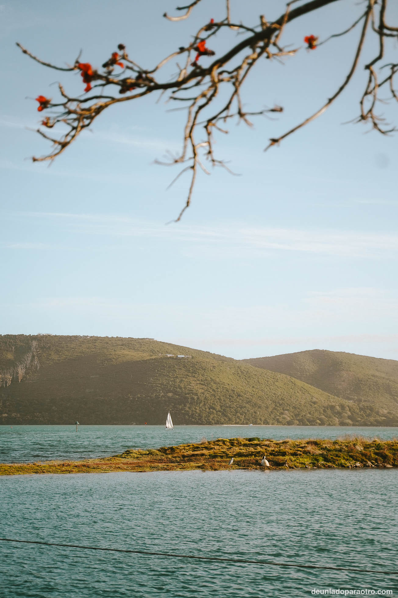 Laguna de Knysna, algo que ver en la Ruta Jardín en 3 días