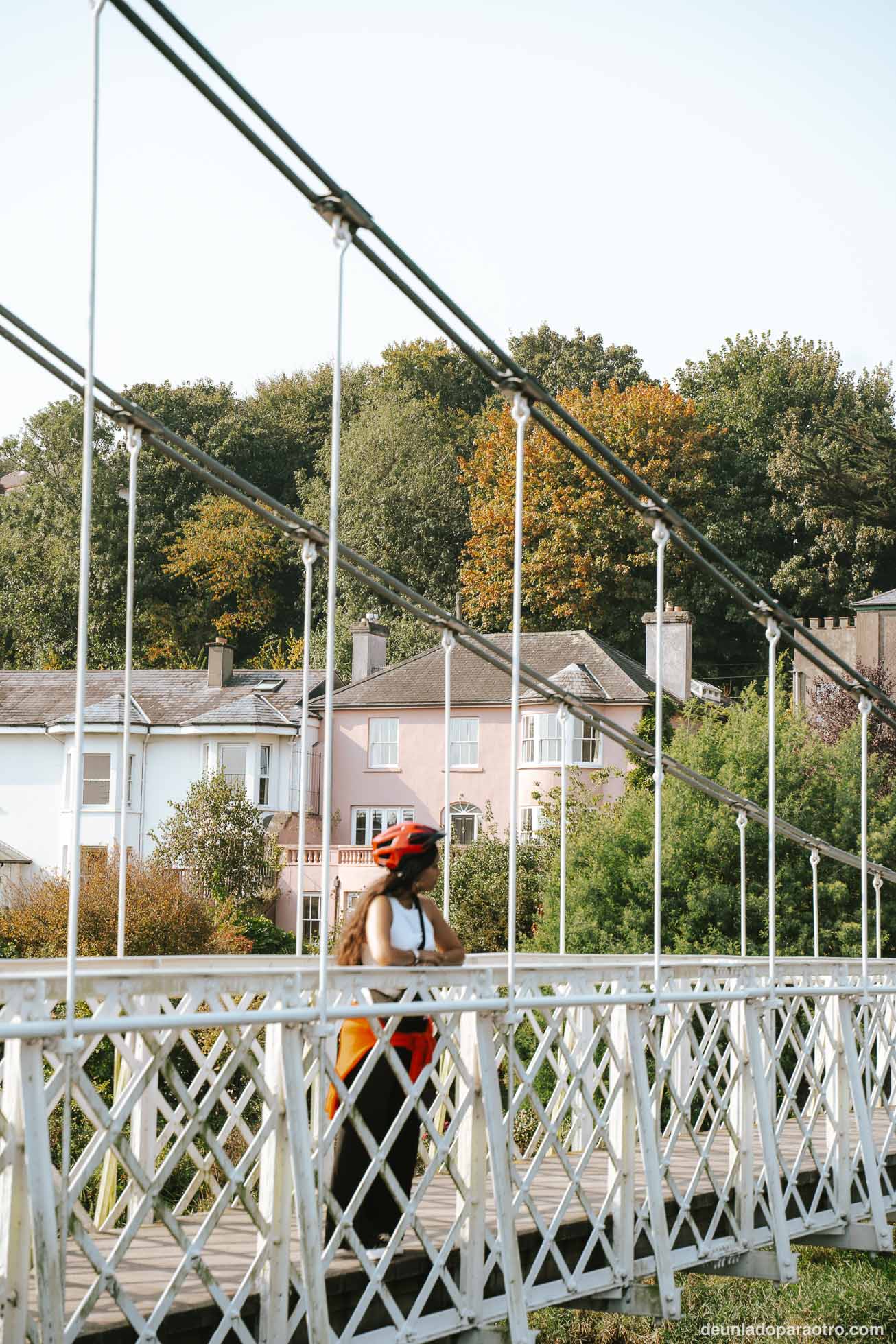 Fitzgerald Park, el parque más famoso de Cork