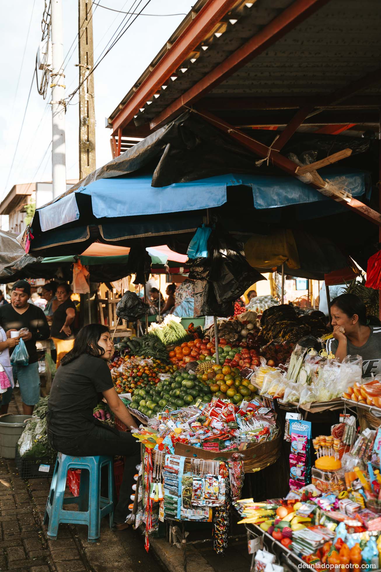 Ruta de las Flores, un recorrido imprescindible que hacer en El Salvador