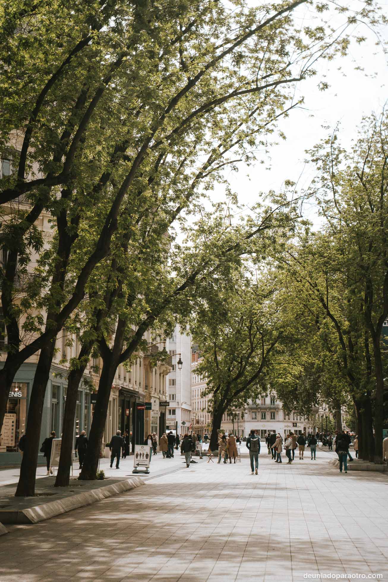 Rue de la République y su plaza, un sitio que ver en Lyon en un día